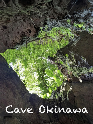 Exploring the Mystical Beauty of CAVE OKINAWA