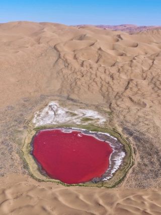 ทะเลสาบสีชมพู — ภาพลวงตาอันอ่อนโยนในทะเลทรายบาดาอิน จาราน