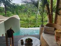 Bamboo Dreaming: The Ultimate Bali Adults-Only Escape at Bambootel Sarah View 🌴🍃