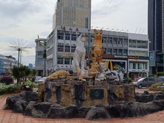 City of Cats