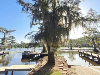 Chasing the Misty Cypress Mirror Through the Fishing Boat Traffic