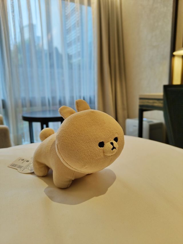 🇰🇷✨Seoul Travel Guide: Exploring Gangnam from Coex & Parnas