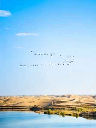 My Raw & Magical Taklamakan Desert Travel Experience + Useful Tips