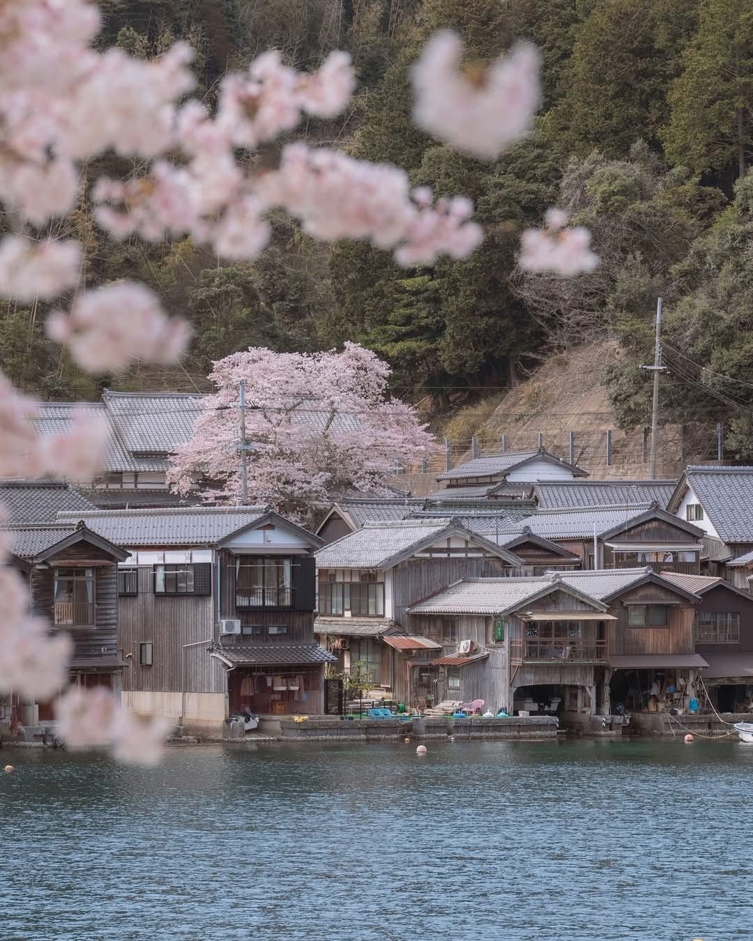 An In-Depth Guide to Ine Funaya: Exploring Kyoto’s Ancient Fishing Village and Romantic Waterfront Cherry Blossoms