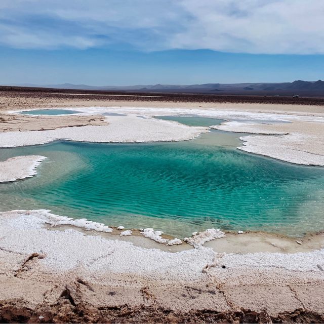 Hidden Lagoons of Baltinache