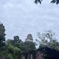 A memorable Mayan civilization and jungle experience at Tikal @ Guatemala 