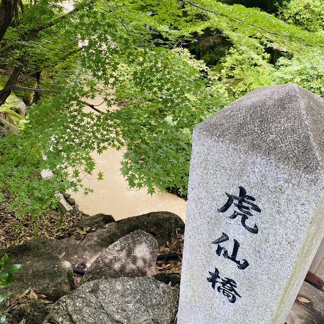 【名古屋市🇯🇵徳川園】マイナスイオンに包まれて☺️のんびり庭園散歩