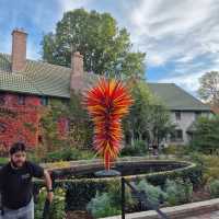 Denver is a wondurful city