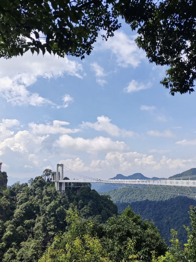 靈秀天地間：三百山的詩意與寧靜