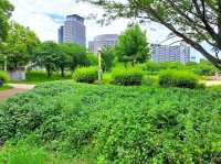 扇町公園