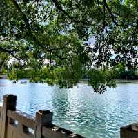 南湖公園城市綠洲打卡推介🌳