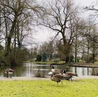 City park in Leicester : Abbey Park 🌳