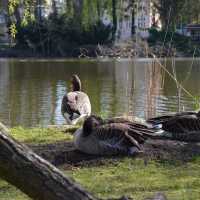 Tierpark… Local Zoo Greifswald Germany