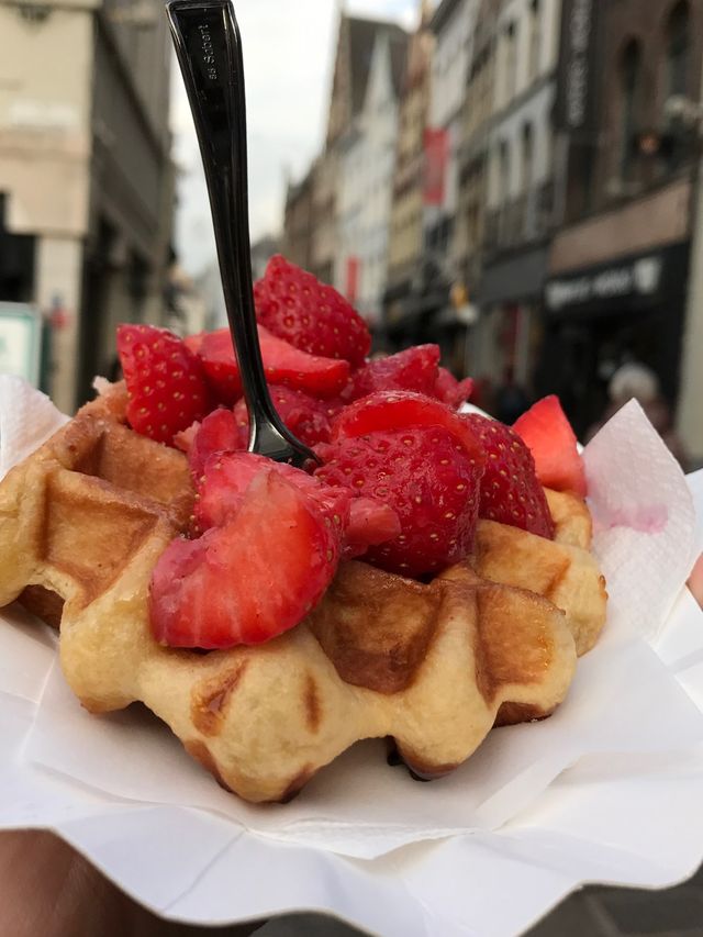 🇧🇪 벨기에 중세도시의 매력과 현대적인 문화가 공존하는 도시