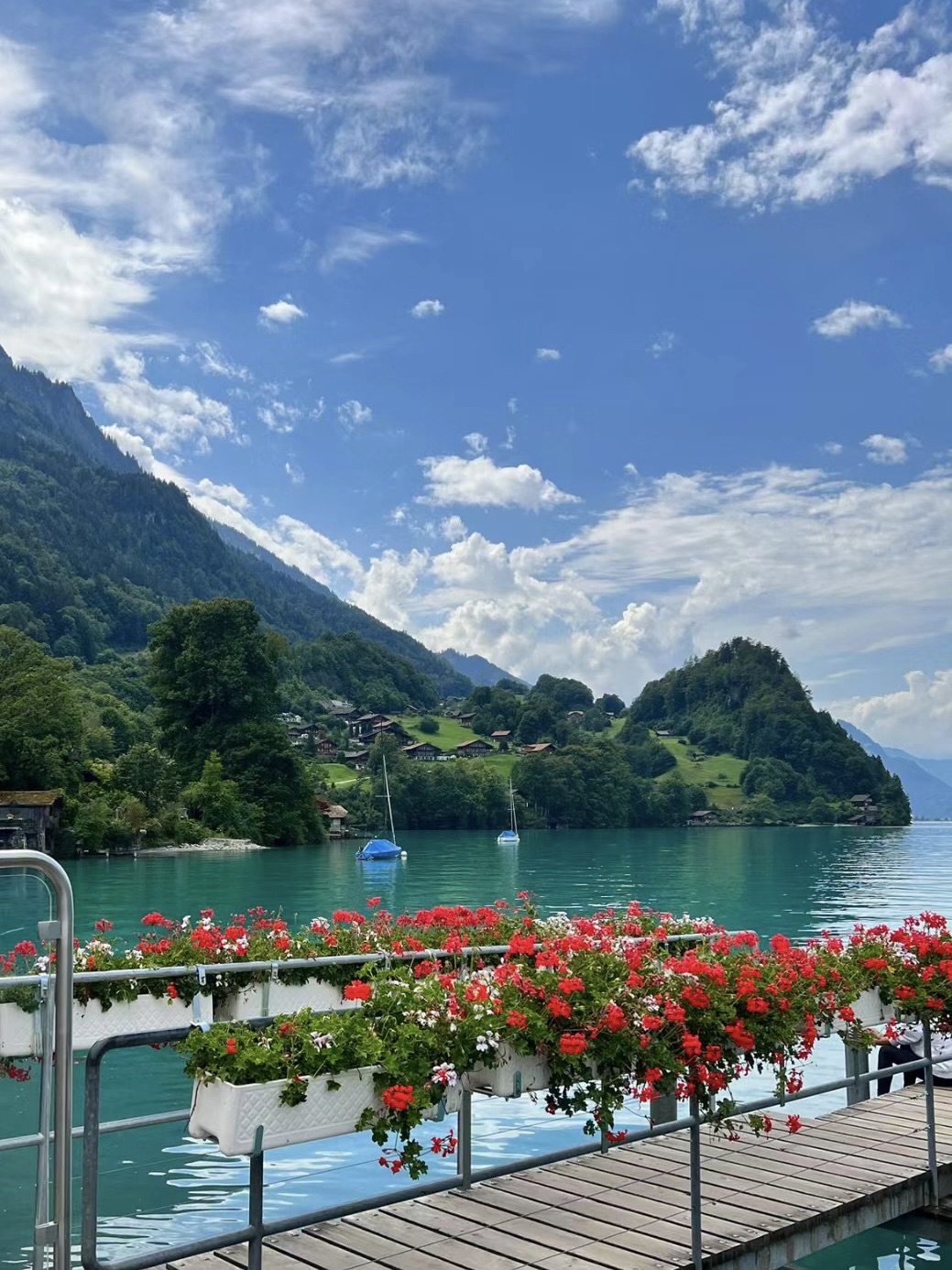 Summer in Switzerland🇨🇭 | Trip.com Switzerland