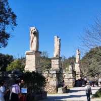 Best Ancient Greek Market 