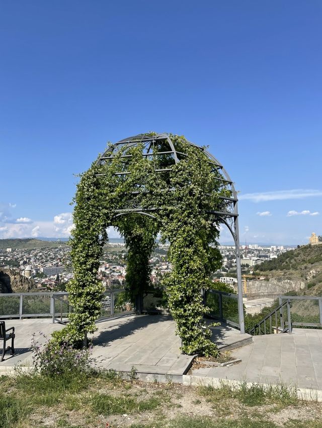 【ジョージア🇬🇪/自然豊かな巨大な植物園 】