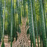 The four seasons bamboo farm