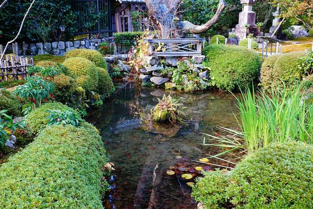 Enchanting Kyoto Gardens