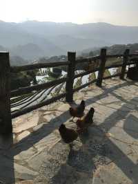 Guilin: Longsheng sunrise at rice terraces