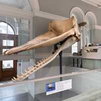 National museum of Scotland