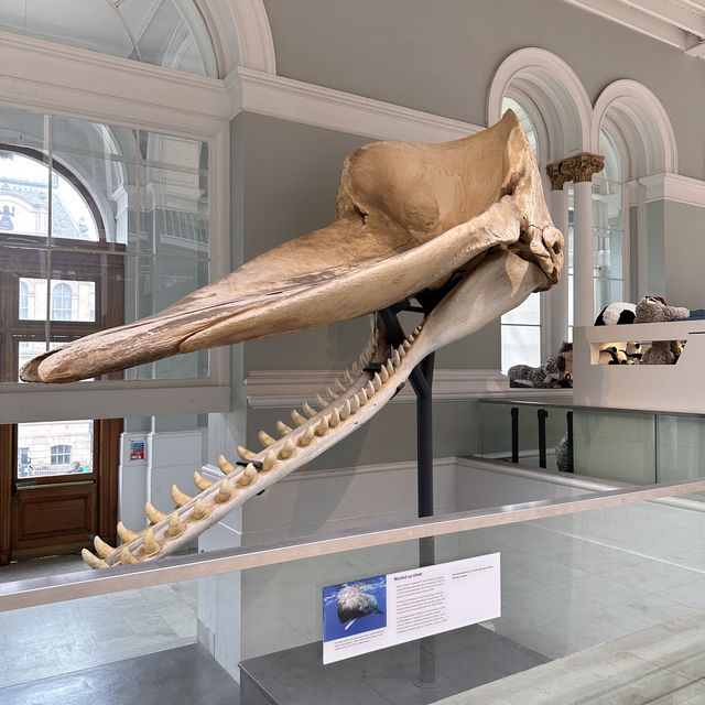 National museum of Scotland