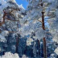 Skiing Across Borders