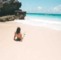 Paradise Found