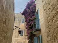 Come visit mdina!