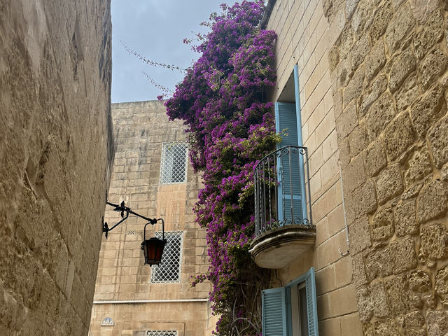 Come visit mdina!