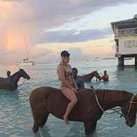 Riding and Washing race horses at Pebbles Beach Barbados 🇧🇧😍