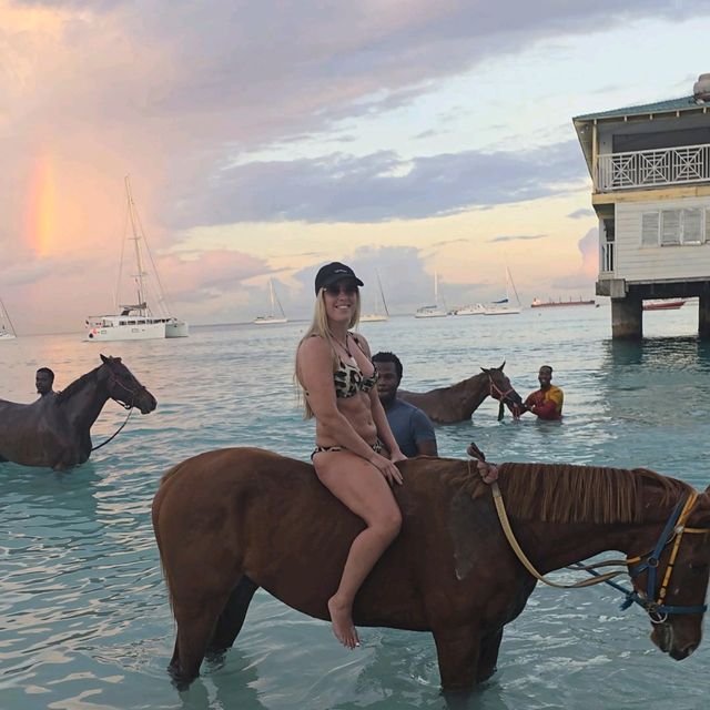 Riding and Washing race horses at Pebbles Beach Barbados 🇧🇧😍