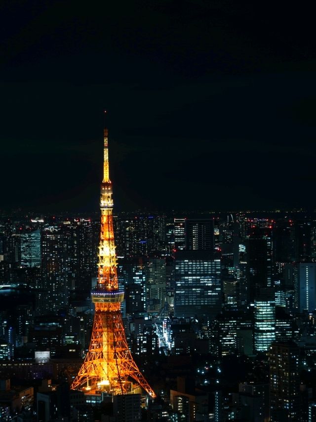 3 Days in Tokyo