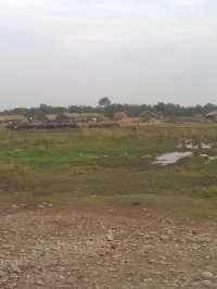 Rural Life in Jammu: Simplicity Amidst Nature