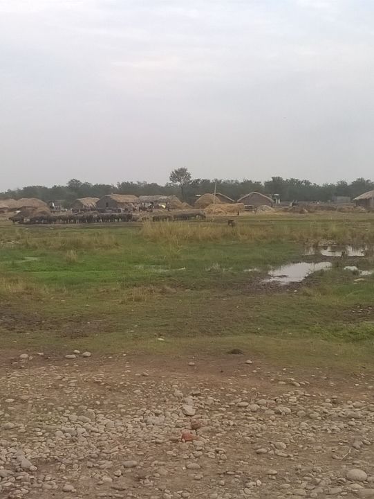 Rural Life in Jammu: Simplicity Amidst Nature
