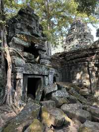 In the footsteps of Lara Croft! 