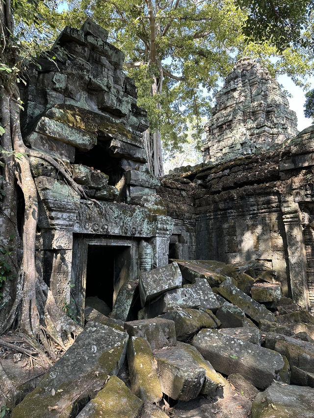 In the footsteps of Lara Croft! 