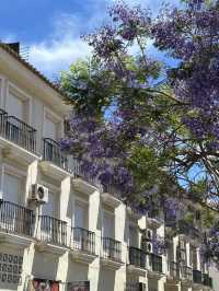 Magic Malaga in May