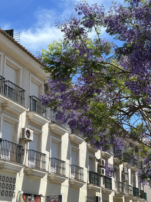 Magic Malaga in May