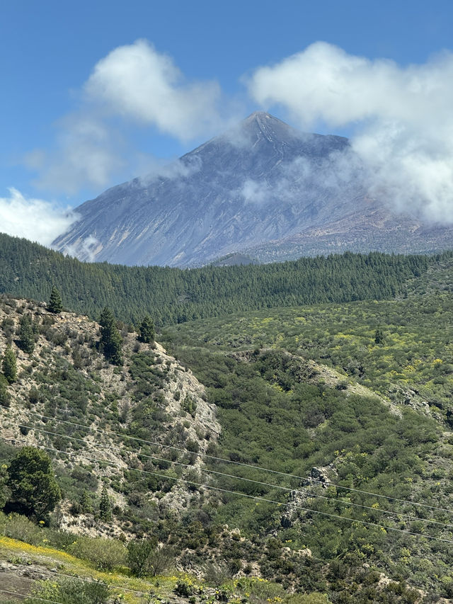 Parque del Drago: Tenerife’s Living Legend