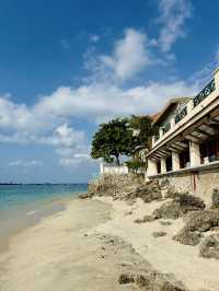 Tropical Dreams of Zanzibar Island 🏝️ 