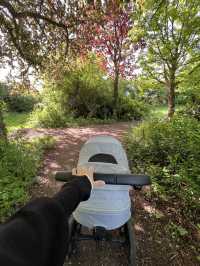 Malmesbury daily walk! 