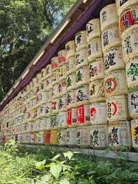 ⛩️ Meiji Jingu Shrine: Early Morning or Afternoon Visit? 🌅🌇