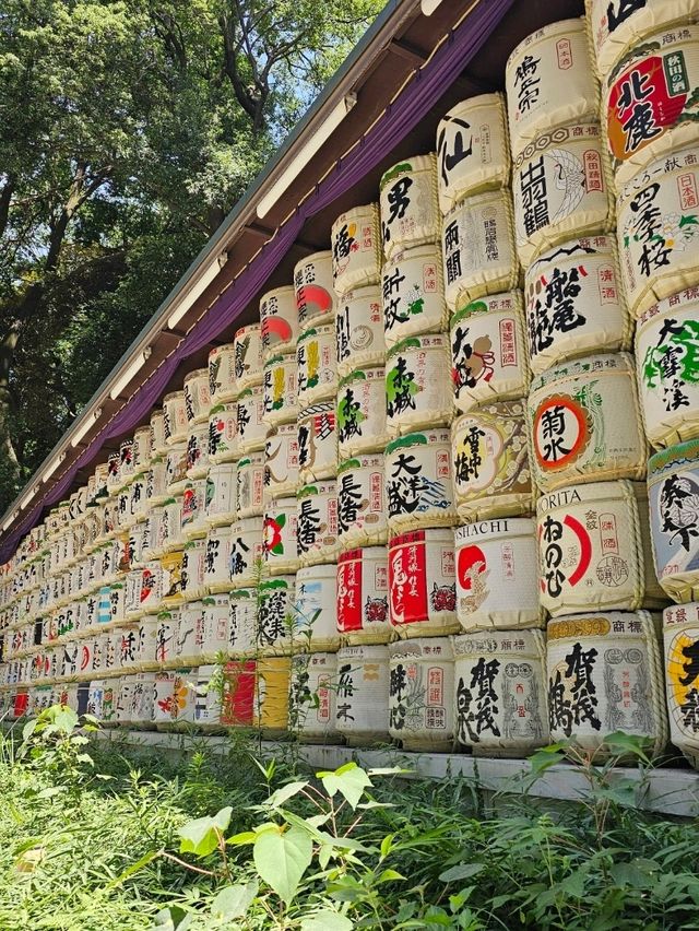 ⛩️ Meiji Jingu Shrine: Early Morning or Afternoon Visit? 🌅🌇