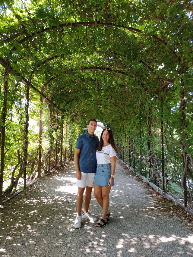 👑 Feel Like Royalty at Schönbrunn – The Perfect Morning in Vienna ✨🏰