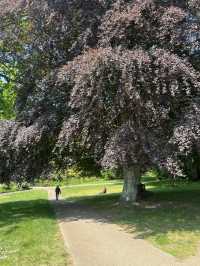 Southampton Serenity: Yoga + Run in Nature
