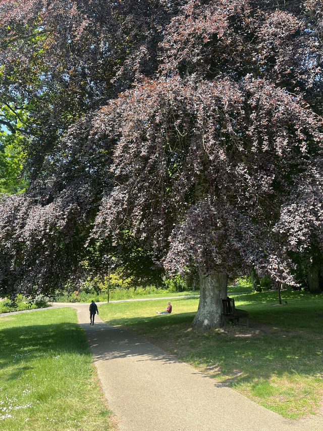 Southampton Serenity: Yoga + Run in Nature
