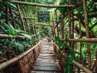 Giant Catfish Farm: A Peaceful Hidden Spot in Krabi