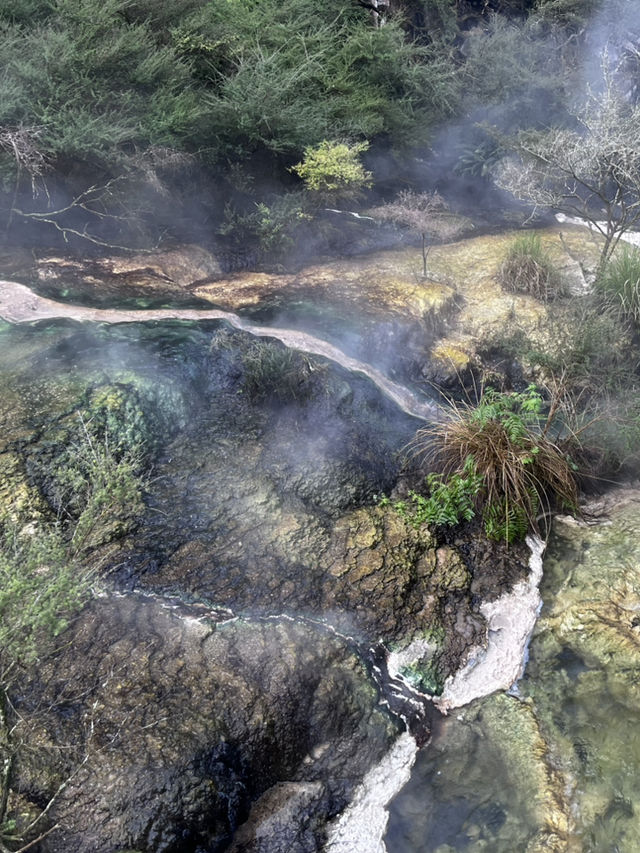 看看火山爆發🌋