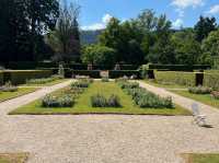 🌹✨ A Blooming Dream: Rose Garden of Baden-Baden, Germany 🇩🇪🌿